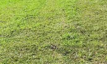 Imagem: Terreno à venda, 1000 m² por R$ 370.000,00