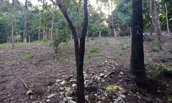 Imagem 4: Excelente lote no Condomínio Vale do Ouro