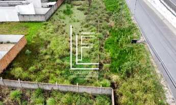 Imagem 3: 2 lotes no Via Mares do Francês às margens da pista, colado ao viaduto