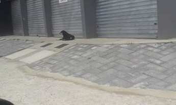 Imagem 3: Sala para LOCAÇÃO na Vila Oliveira, em Mogi das Cruzes