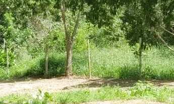 Imagem 5: Sítio em MG 432 KM 15.7 - Caracóis de Baixo - Esmeraldas/MG