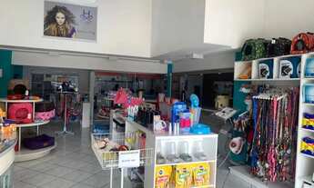 Imagem 6: Ótimo ponto comercial e residencial