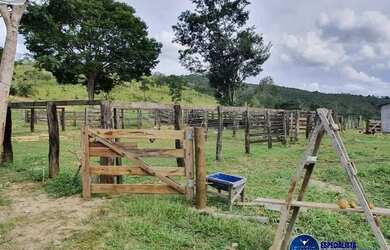 Imagem 2: Fazenda à Venda em Cocalzinho - Goiás - 54 Alqueires