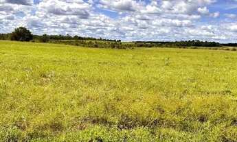 Imagem 3: Fazenda em Novo Acordo/Rio Sono