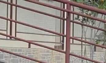 Imagem: Casa ampla 4 quartos com área gourmet no