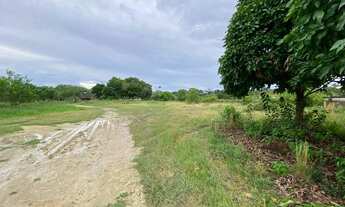 Imagem 5: Vendo ou alugo terreno com 15 mil m2 no Distrito 3