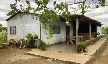 Imagem 4: Chácara com13.000 m², povoado do Trevo Zé Rosário, 14 km da Igrejinha