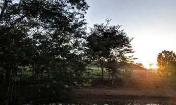 Imagem 7: Chácara de 5 alqueires e 8 litros