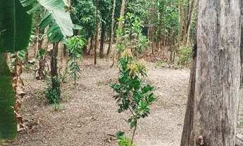 Imagem 7: Rancho à venda no Rio Mogi Guaçu em Guatapará SP