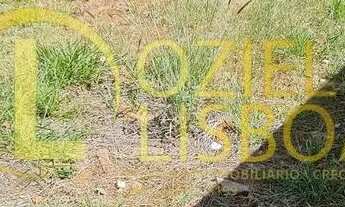 Imagem 3: LOTE 775m² NASCENTE COM 155 DE FRENTE 100%PLANO MURADO COM PORTÃO CONDOMÍNIO RUA 04 VICE