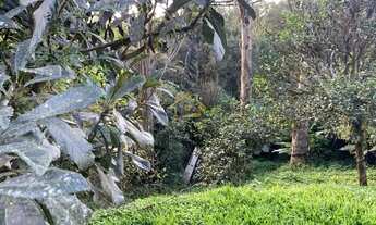 Imagem 6: ÓTIMA CHACARA PARA VENDA NO CERNE CAMPINA GRANDE DO SUL