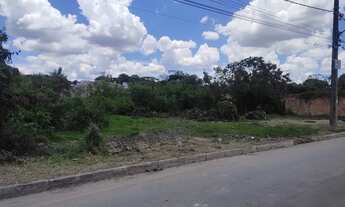 Imagem 3: Alugo Terreno Plano - 2.000 m² - Petrovale, Betim (Rua Itália