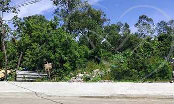 Imagem 3: Vendo Terreno em Santa Cruz