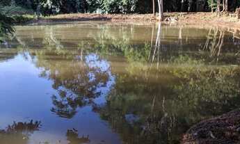 Imagem 6: Chácara de 5 alqueires e 8 litros