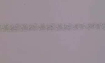 Imagem 7: Casa 4 Suítes em Vila de Abrantes | 240 m² | 3 Vagas