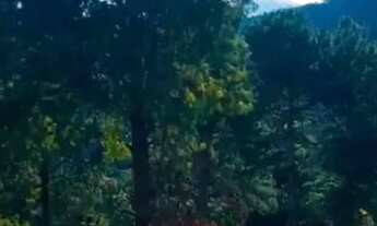 Imagem 3: Casa para venda tem 280 metros quadrados com 4 quartos em Atalaia - Campos do Jordão - São