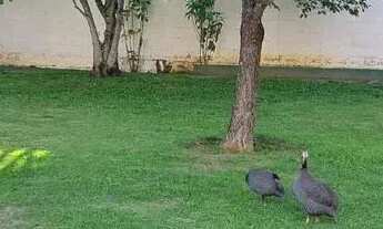 Imagem 3: ALUGO OU VENDO COND FECHADO PORTAL AMIZADE