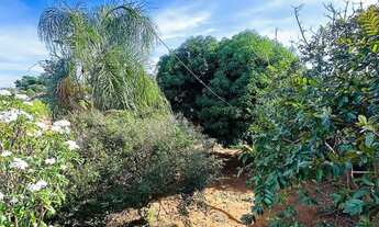 Imagem 6: Sobrado no parque Santa Rita