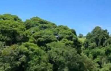 Imagem: Lotes para venda na região de Ibiúna