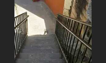 Imagem 3: Apartamento para locaA§A£o no bairro California BH