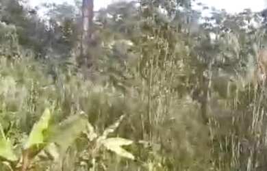 Imagem 6: Terra chapada Gaúcha