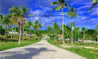 Imagem: LOTE A VENDA IMBASSAI BIOVILLA IMBASSAI