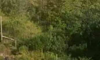 Imagem 5: Lote em Descansópolis - Descansópolis - Campos do Jordão/SP