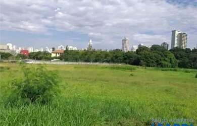 Imagem 6: AREA - ANÁLIA FRANCO - SP