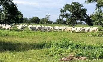 Imagem 4: Fazenda na região de Aruanã no estado de Goiás