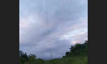 Imagem 5: Área com pastagem e agricultura(cacau e cajá