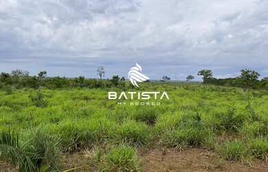 Imagem 6: Fazenda de 227 alqueires, 150 km de Palmas