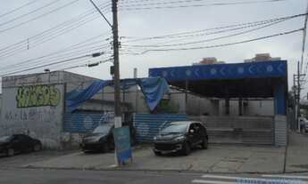 Imagem 3: AREA - SANTO AMARO - SP