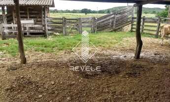 Imagem 7: Fazenda Município de Uruana Go