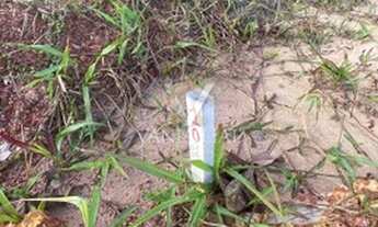 Imagem 5: Salinópolis - Terreno Padrão - Cuiarana