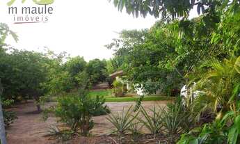 Imagem 5: Chácara com 2 dormitórios à venda, 3765 m² por R$ 475.000 - Sobradinho - Adolfo/São Paulo