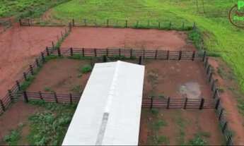 Imagem 7: Fazenda em Goiatins. 73 mil por alqueire