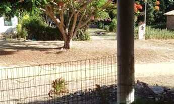 Imagem: TERRENO RESIDENCIAL em SUBAÚMA - BA, Entre