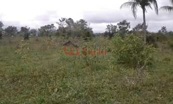 Imagem 4: Vende-se fazenda 55 Alqueirões baiano no municipio de Canavieiras BA