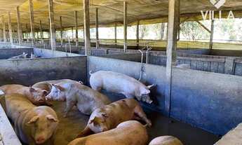 Imagem 3: Chácara à venda, 10000 m² por R$ 450.000 - Rural - Guaraniaçu/PR