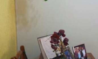 Imagem 5: Apartamento à venda, 65 m² por R$ 255.000,00 - Demarchi - São Bernardo do Campo/SP