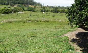 Imagem 4: Excelente Sitio Localizado em Sangão/SC