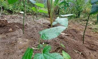 Imagem 7: Chácara Juquitiba 10.000 metros