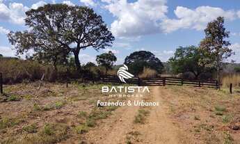 Imagem 5: Fazenda 70 Alqueires, 150 Km de Palmas