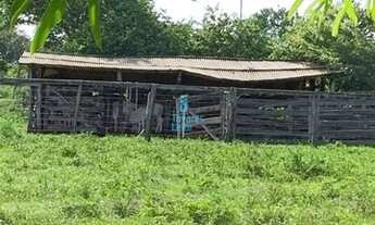 Imagem 3: Crixás - Fazenda - Zona Rural