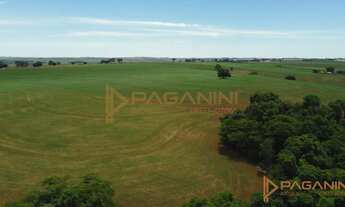 Imagem 7: VENDA Fazenda / sítio com venda por R$6.400.000