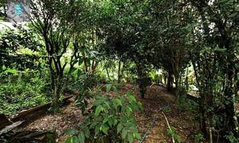 Imagem 6: Casa - Santo Antônio de Lisboa - Florianópolis