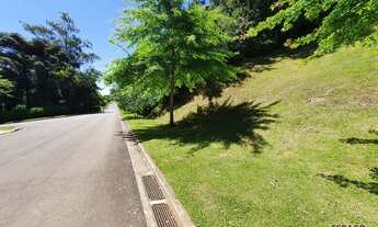 Imagem 5: GRAMADO - Terreno Padrão - Alphaville