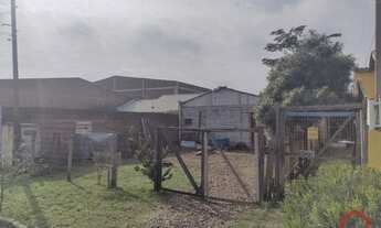 Imagem 2: SãO LEOPOLDO - Terreno Padrão - Pinheiro