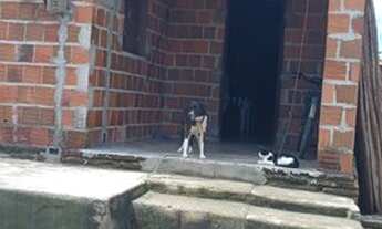 Imagem 3: Estou vendedor uma casa no interior do Ceará santana do Acaraú