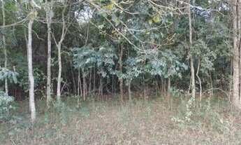 Imagem 2: Terreno Área Rural com 11.9lts 7.199m2 48x150mts